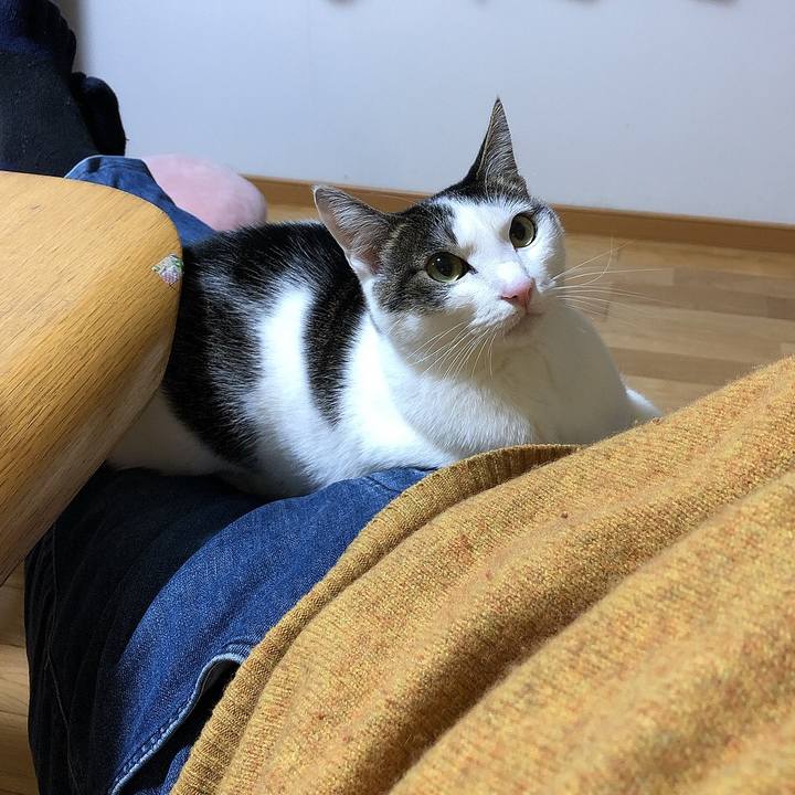 3874bca4 f80f 4f48 a96e 1682f303c168 1645442423389