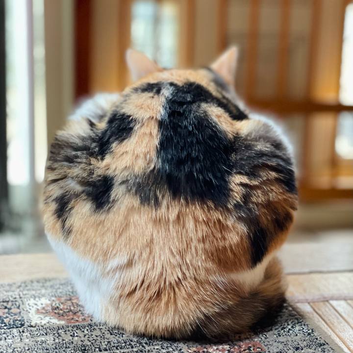 3874d59f 05db 4fe8 b9e3 80c3ff2c1cb9 1632708867917