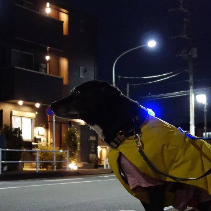 3874d640 0612 4fbc adac fe0e9bb16bae 1738148824837