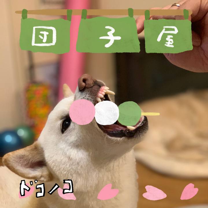 3874da99 c92b 4d04 95fa 001cffd915ae 1712231641228