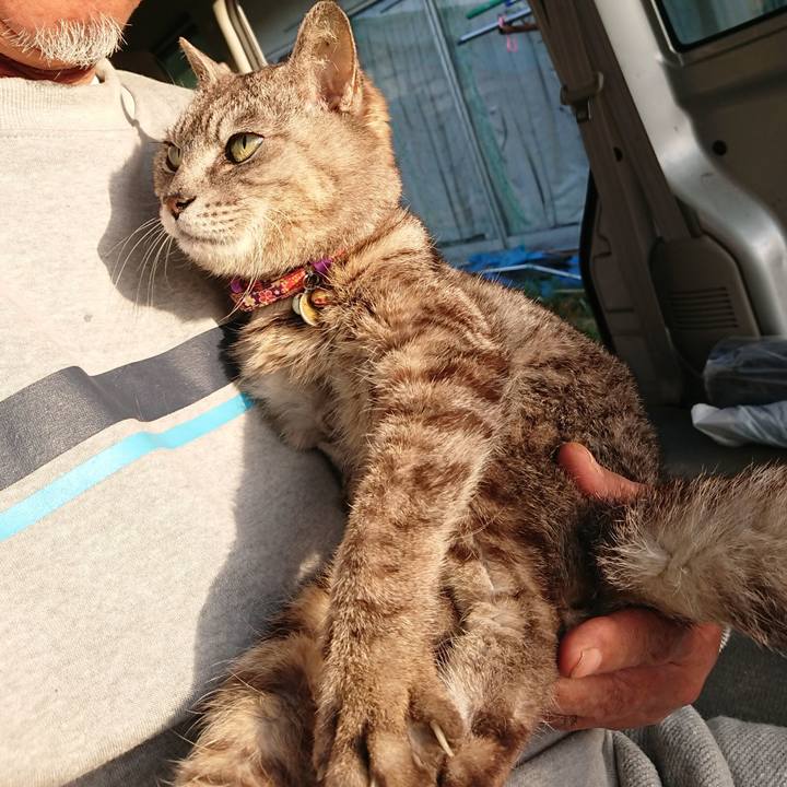 3874f44a 4aba 4163 a40d 47e067cd0f47 1591648558485