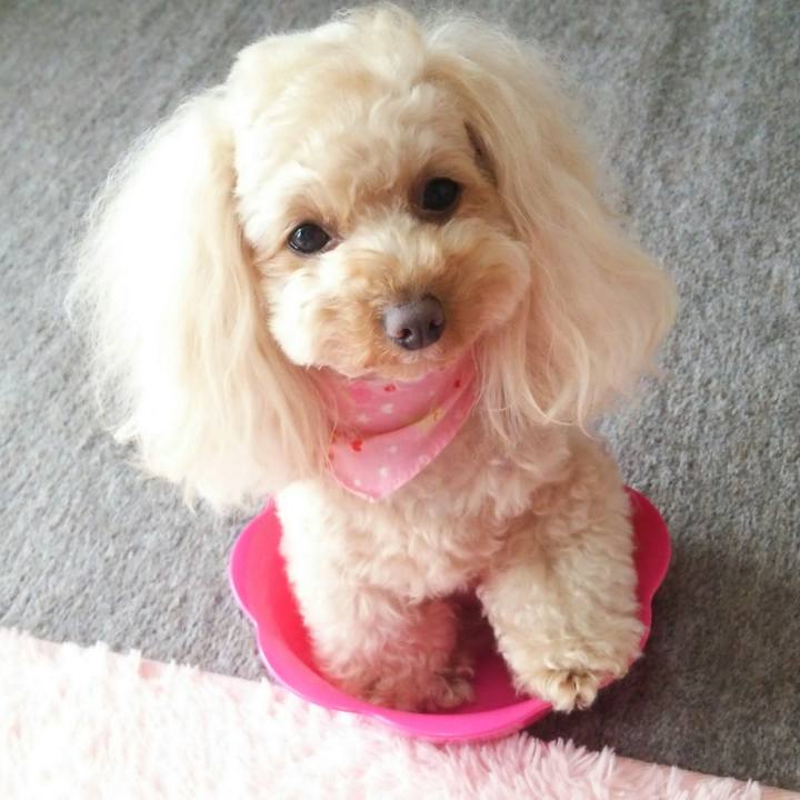 3874fa5c 6e10 41e3 af5b 23dc517091f8 1519815424314