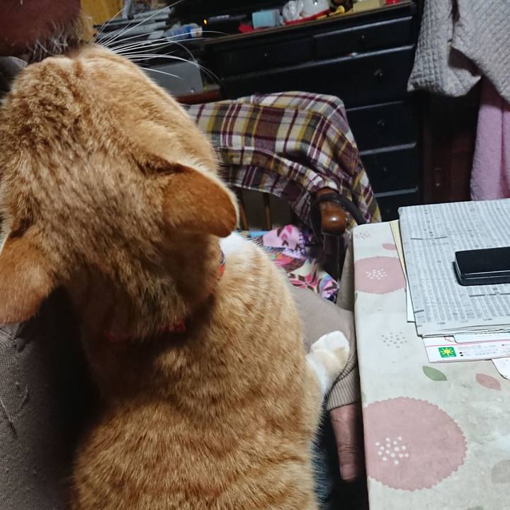 38751cc2 2a66 4a79 8905 d8ee99413fdd 1577392776575