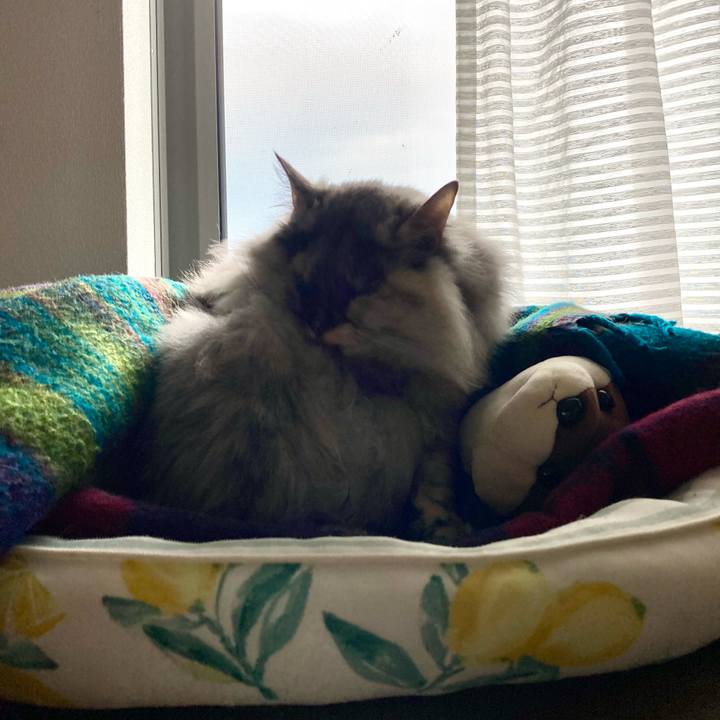 38751ecf 553b 4845 891b 2705cc47d017 1736141935540