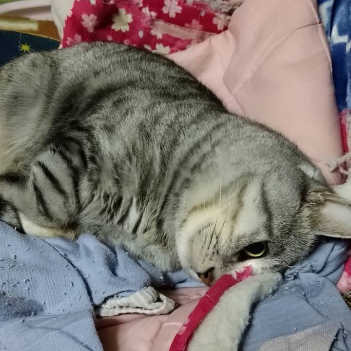 38756f94 b97b 4952 b966 2fcca1ca5e0f 1668612298193