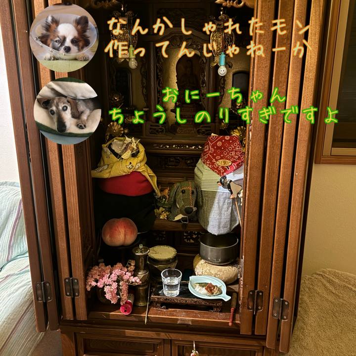 387585a4 85c8 4ea8 8f06 35fb1c75b0b0 1720462299348