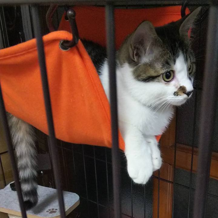 38758d8c e8a7 4b49 8b9b 25b6cd631979 1614249265183