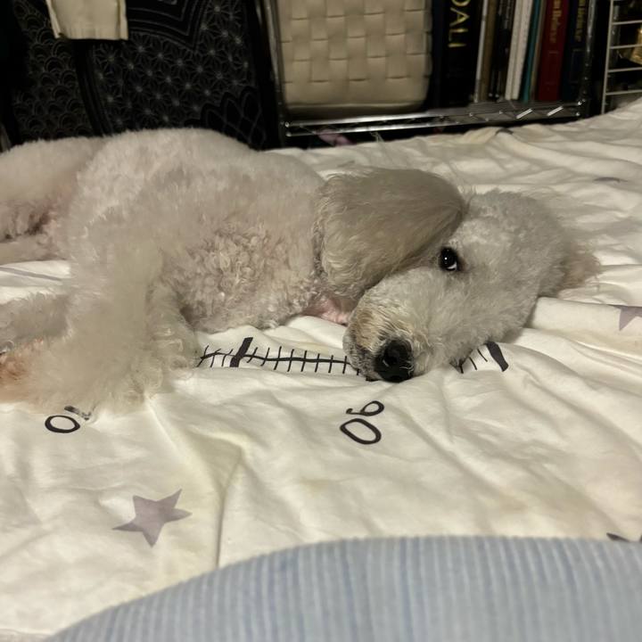 3875a907 4004 4b24 ad9a 59b0e48f1e8a 1729506753365