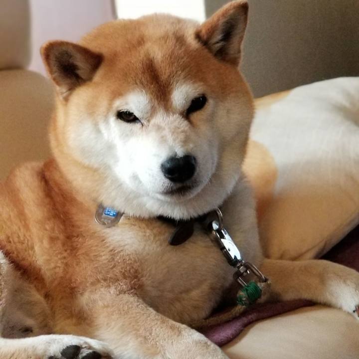 3875b13a 3028 472d bf25 d4f686d80425 1524091964139