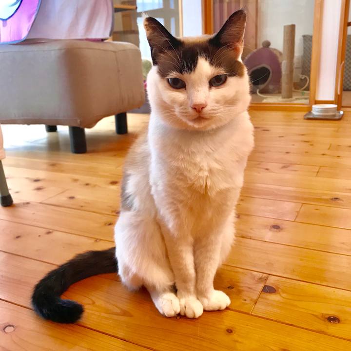 3875c892 34bf 4d46 9dc8 867a4e3f3c3a 1550797439548