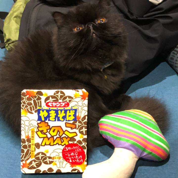 3875e2ce b02c 42f1 88d4 9bf48aa7176b 1633867541864