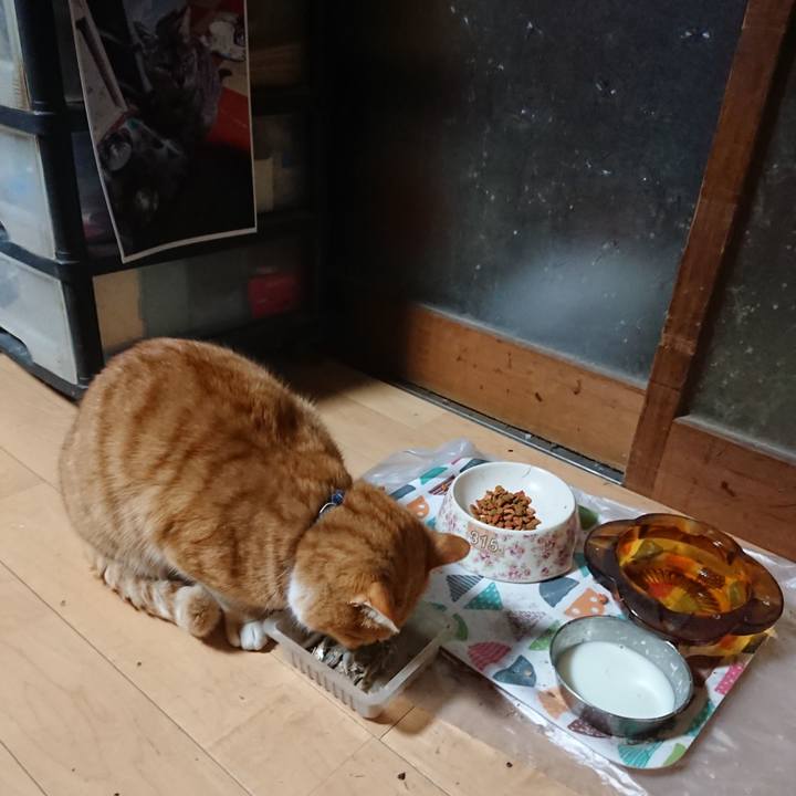 3875ed3d fed6 4326 a692 b77641795488 1607632250976