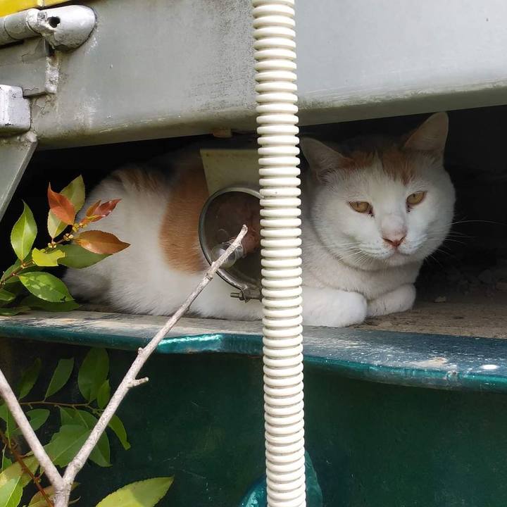 3875effa 2656 4c37 8335 fcd53edb0f5a 1651830095006