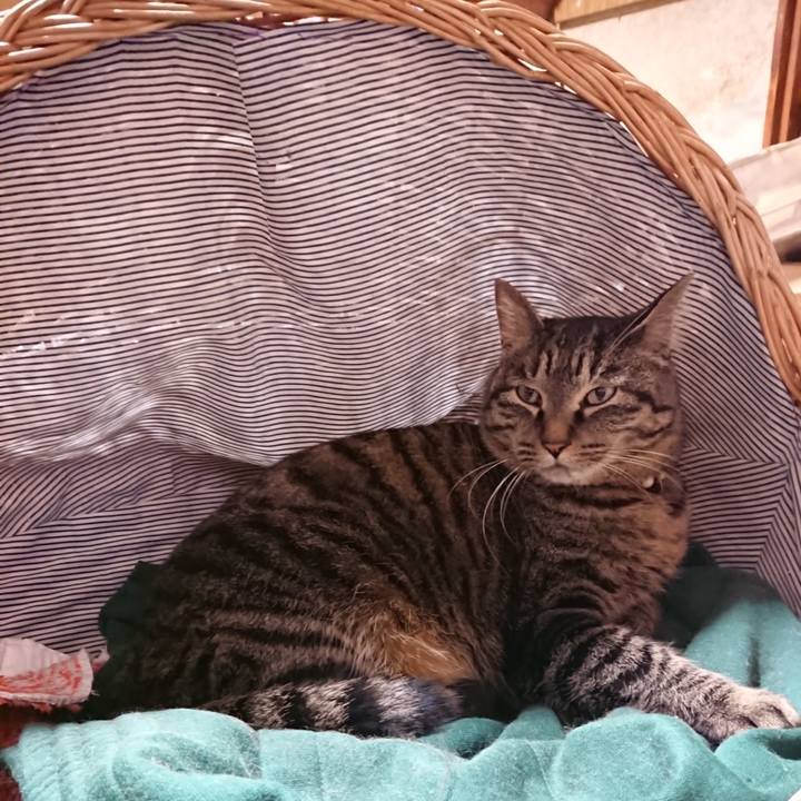 3875f4c4 4cb3 48de 8320 21e1c849a680 1643980756686