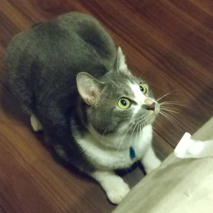 3875ff06 c3ad 4802 a310 78fcf5a0f1e0 1630503583225