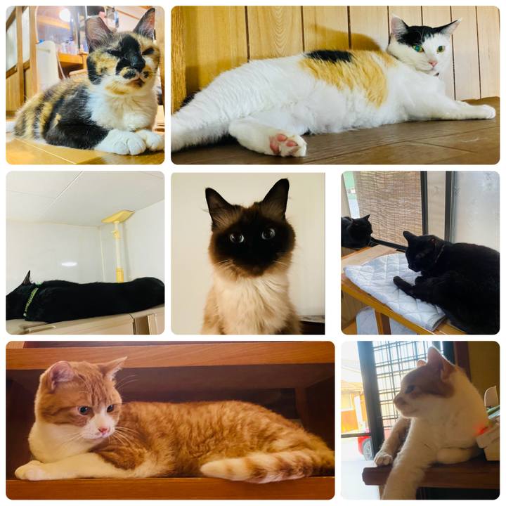 38760bf9 2be7 4e4f 922a 88ab4305f433 1655633025490