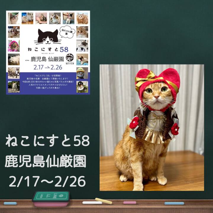 38760e92 0ccf 4418 88e8 47a72ab5984d 1673865978347