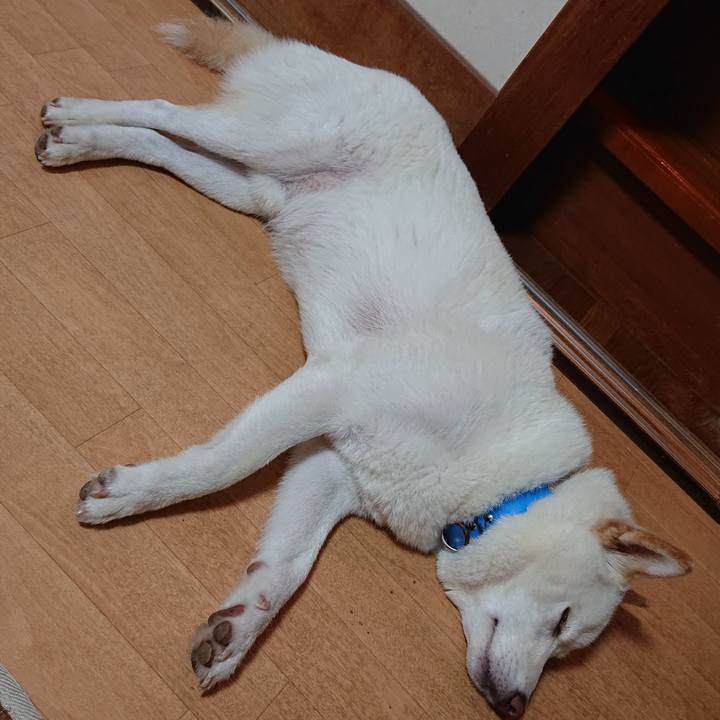 3876a9aa 2e98 4be9 a54e 01f68305ed53 1596548182599