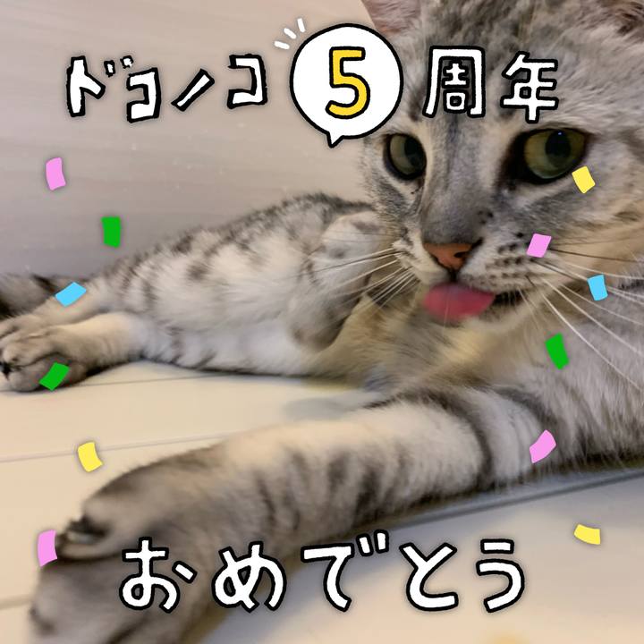 3876c28d 234c 4071 8a88 503d3125c2a9 1622937756337