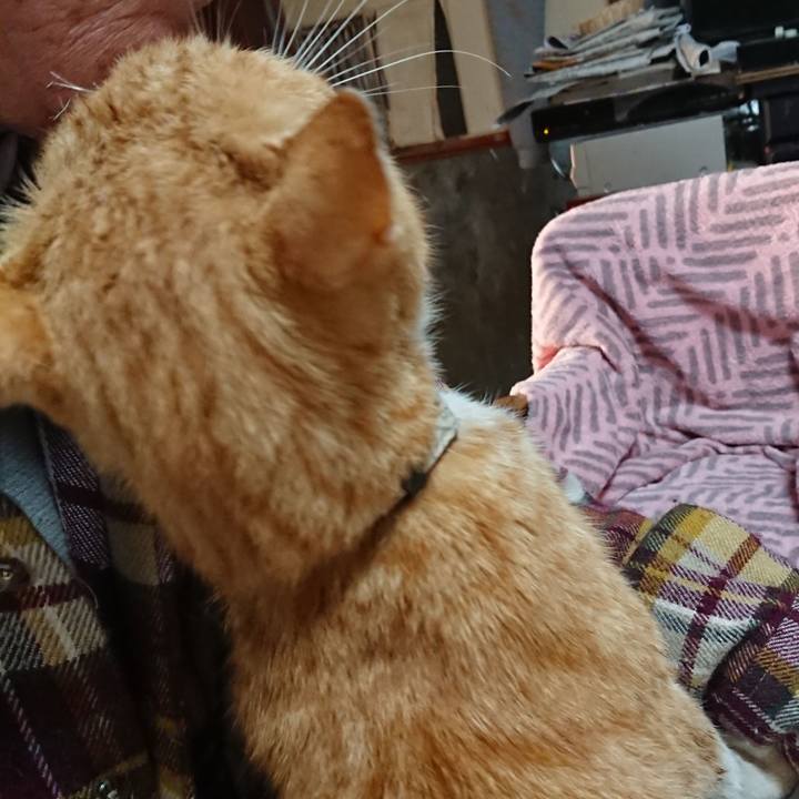 3876c31a 3ffc 4654 a5fc 60433737b378 1590181177111