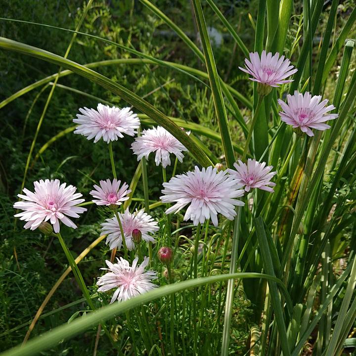 3876c586 94d4 445d b58f fca7b484e9ff 1618035995150