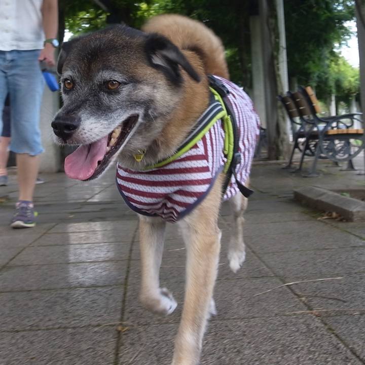 3876d53f 64b6 4566 9c81 bf7cca679d36 1589579488611