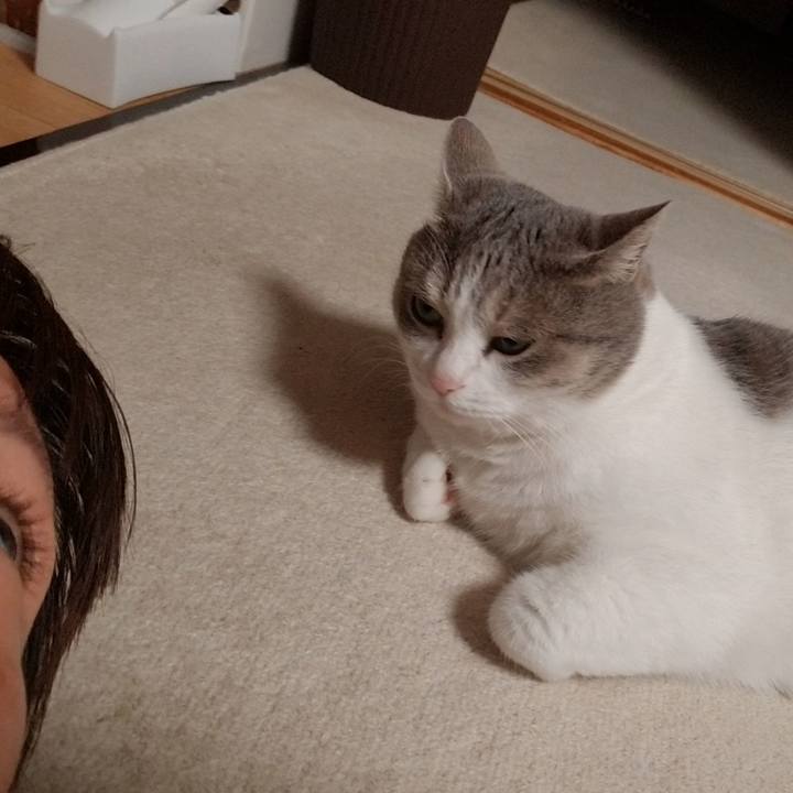 38771919 81d6 4430 8dff aac479031266 1655991476596