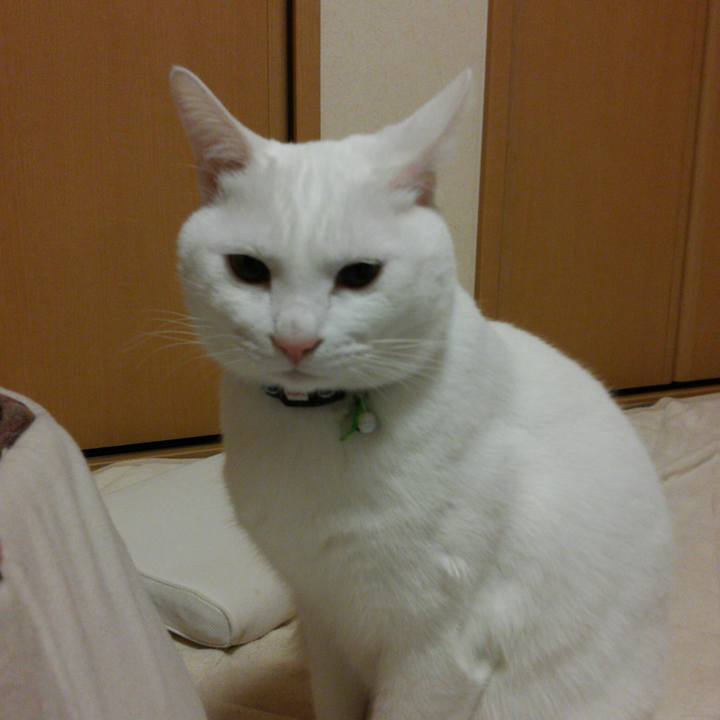 38771e47 deed 410b 95b9 3f5c2abec91f 1515765683349