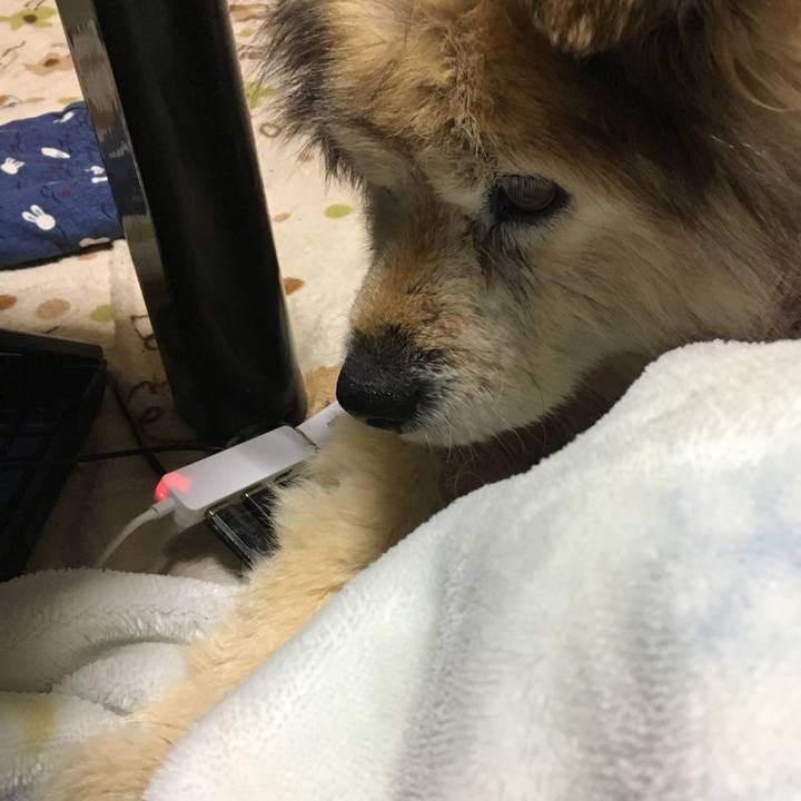 38777025 3dcc 46f5 b9b0 0ea57e91ee72 1613838004749