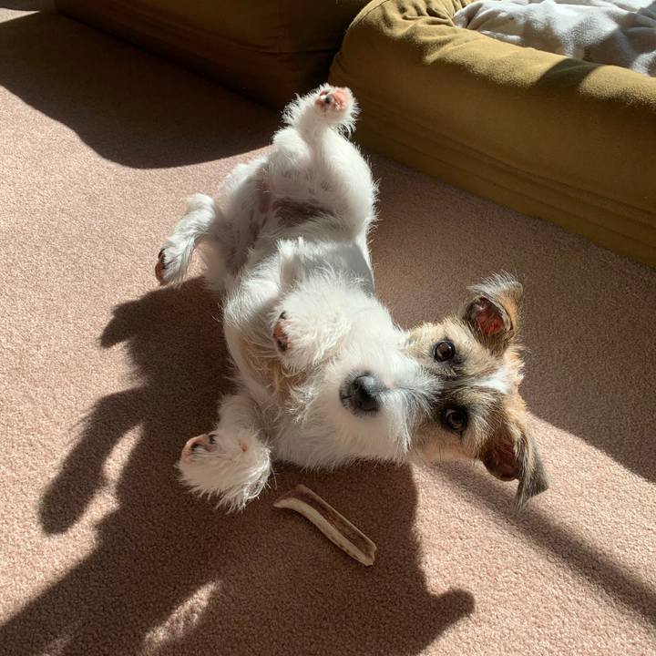 38778f2f b18b 4362 bde7 bea1d9160846 1574220708671