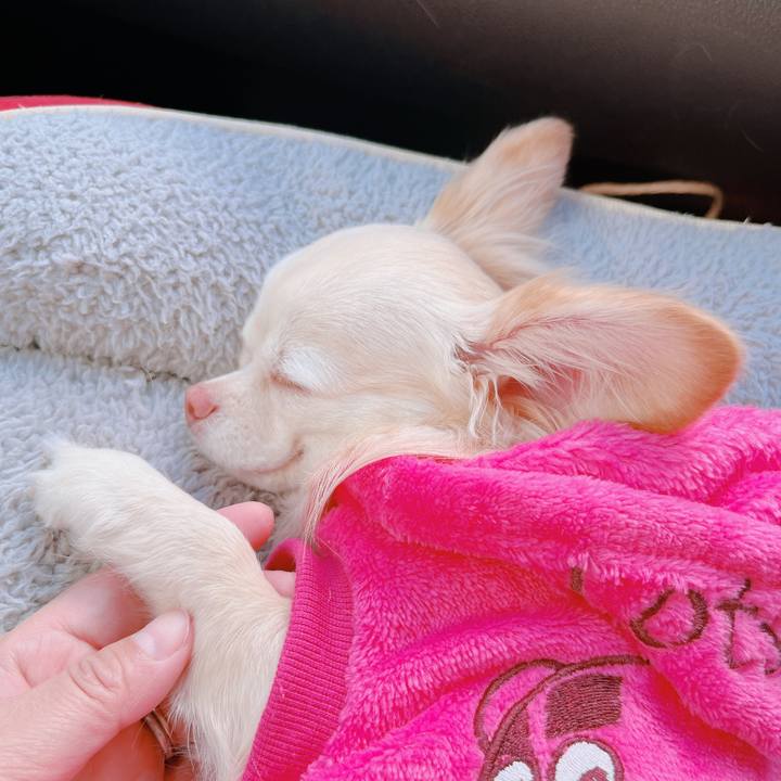 38779311 514a 4684 a030 0b8eacb2781b 1672720444866