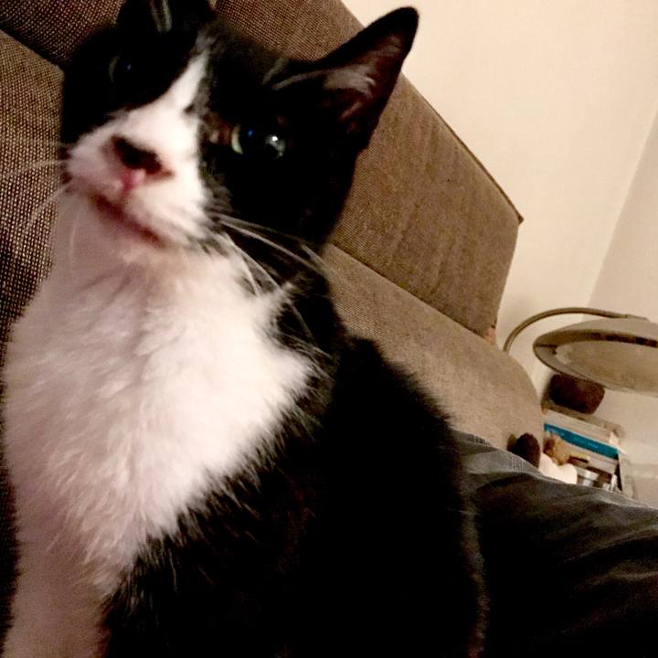 38779f98 121f 4a47 9175 995df8c390a6 1528732684253