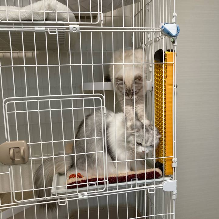 3877b714 176b 4433 9fa6 67ebec98cedc 1672308750891