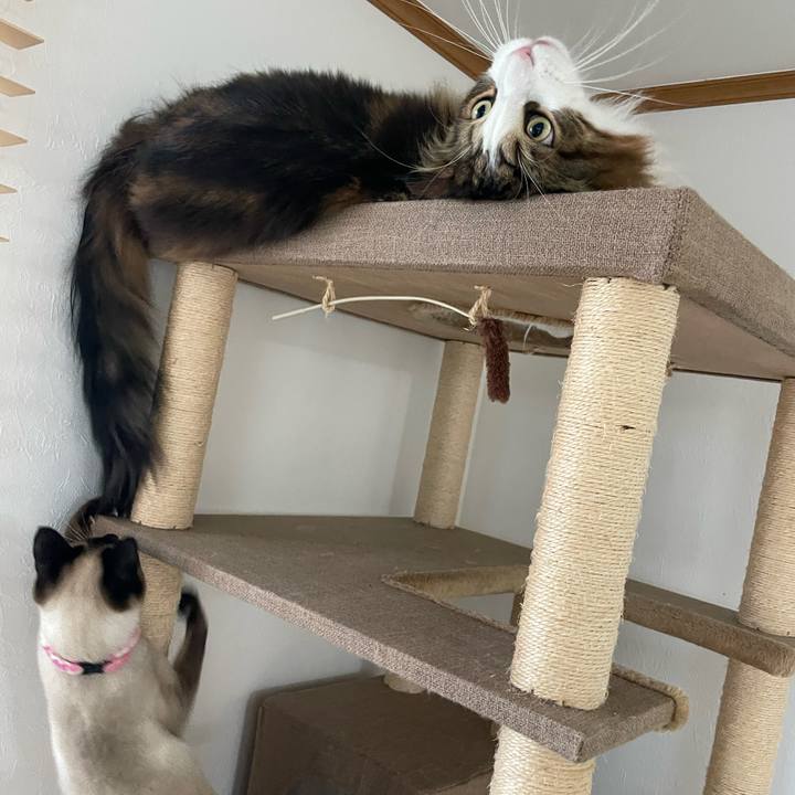 38787165 035e 44e8 9335 3426a50c15c6 1713218890151