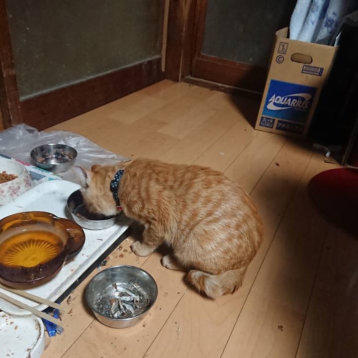 387896ea b109 48cf 82b3 9b292f43ad78 1636230634576