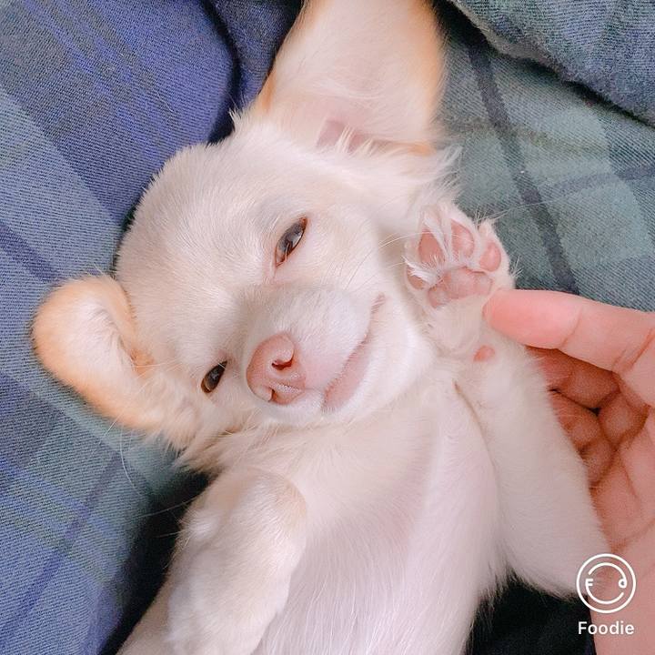 3878b928 9b60 415d a5c7 d239b8cc5ad0 1599603948238