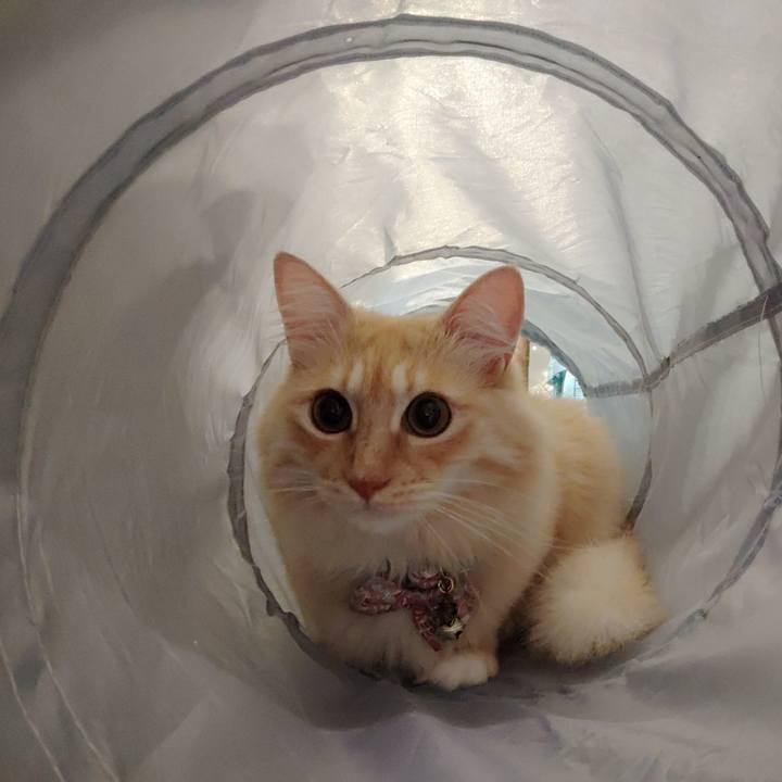 3878c7f3 df3b 47d4 b208 af94b8fb3154 1665929546851