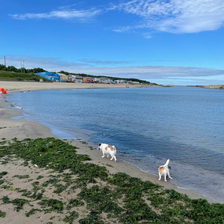 3879015d 8056 4811 afd4 f58363931d15 1659656649791