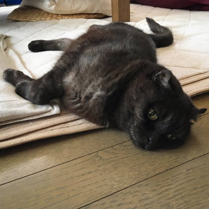 38791be0 c649 45c0 a294 61627c20c8ed 1526445837480