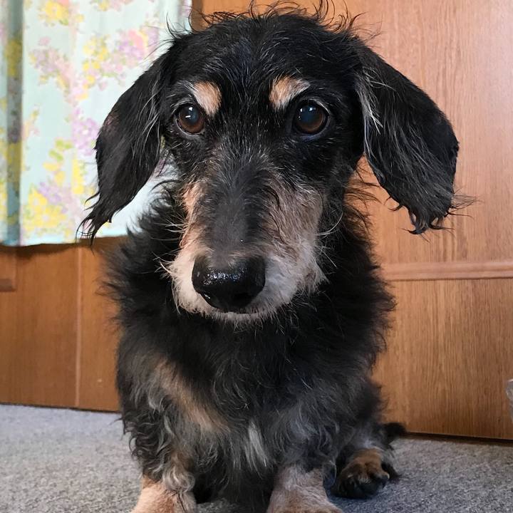 387924eb 2a4b 428e 98d1 988444948512 1763826007440