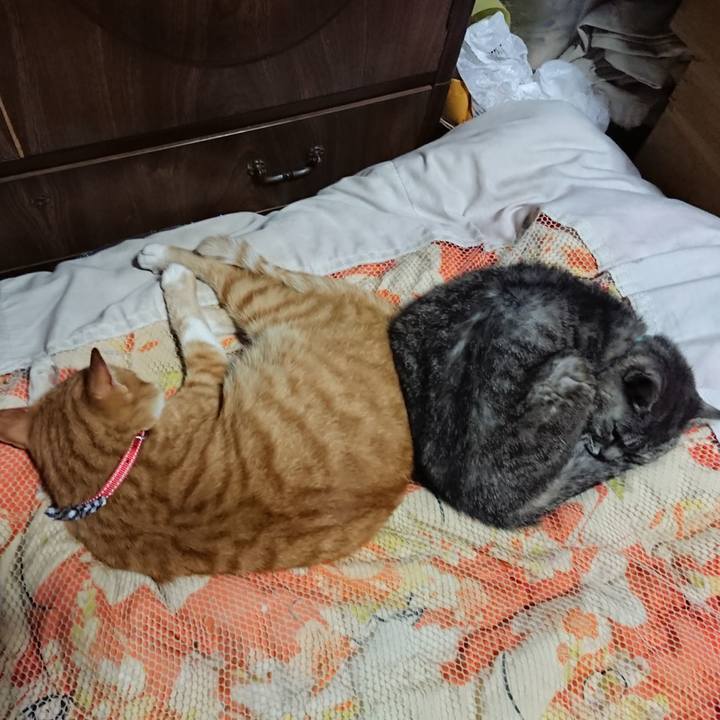 387928c9 c708 45b5 90dc d1520bb95372 1569154329098