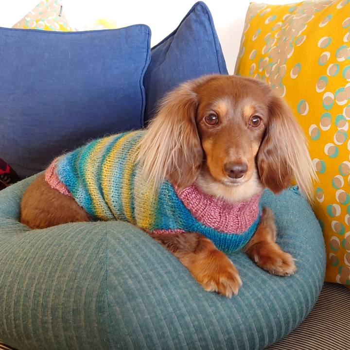 3879532d 6184 4c76 bdfa 72965a63e097 1643086630679