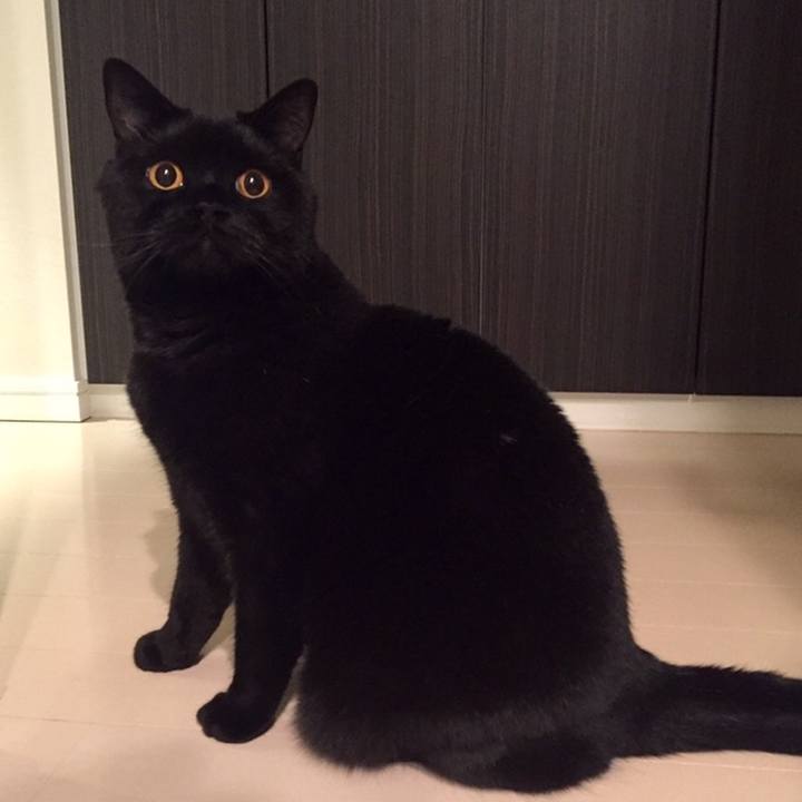 387955eb 8180 4b4c a13d d0d055ba059b 1559737643473