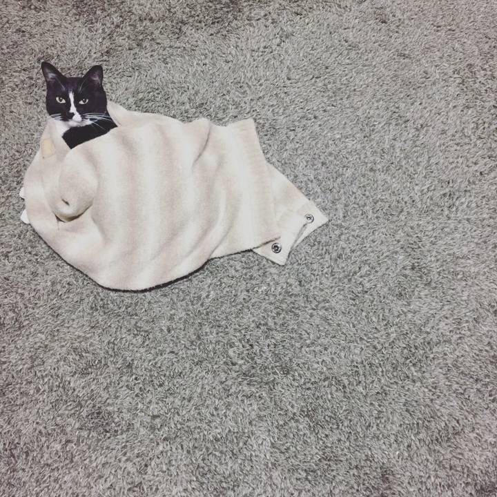 38796ee6 fcd1 46a0 bc16 5765e1798734 1510889150620