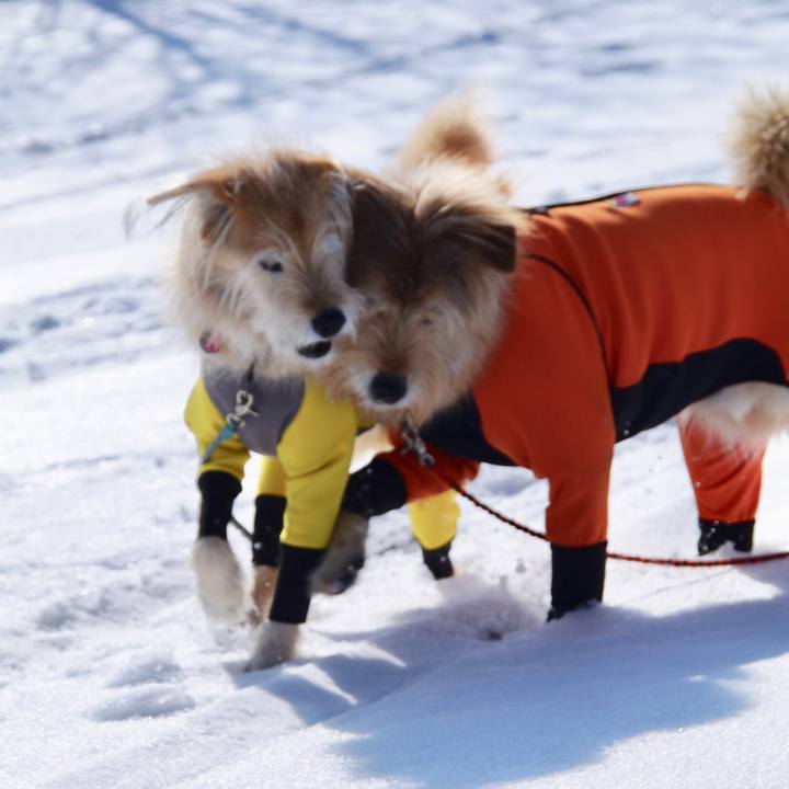 38798b6d d2af 407d b3f9 c300ed30ae1d 1613922783660