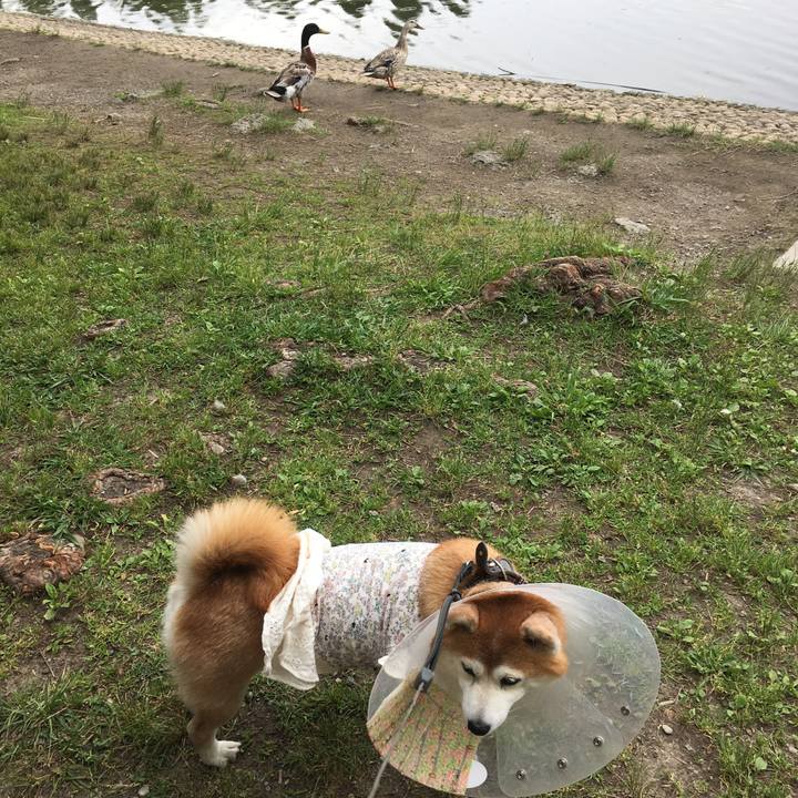 38799bcd d749 46d7 b166 92cff20a9623 1527832101008