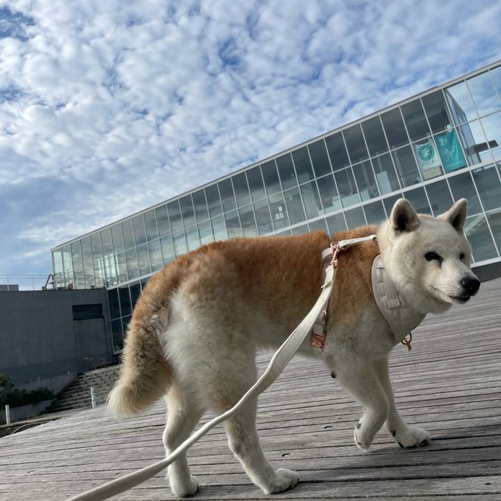 3879a1f0 fca2 4494 88ba 3391a07fe61c 1728994375459