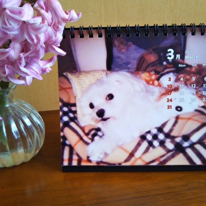 3879d402 2a03 4714 ac1a 5f664e56c346 1552011826356