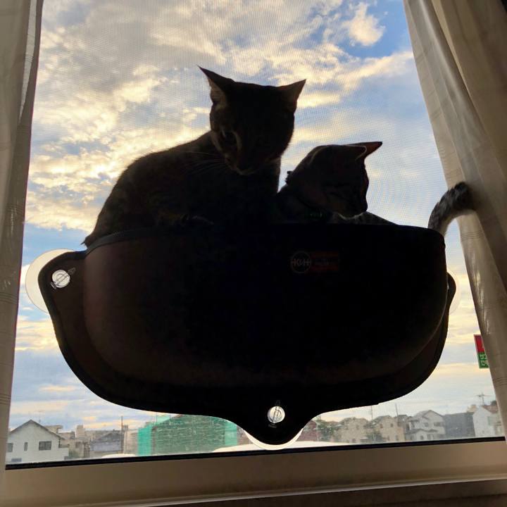 3879d997 d170 45ad ac8b f8ab44d59822 1536526792638