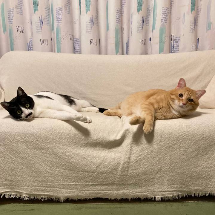 387a2b0f 834e 4f2d a62d 130cebe271a1 1771149609334